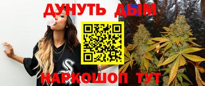 МДПВ Гусев