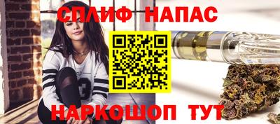 МДПВ Гусев