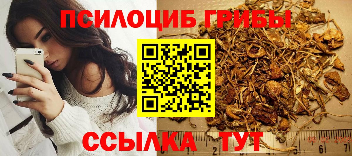 Казань  Галлюциногенные грибы Magic Shrooms  Вход с VPN 